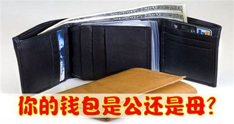 钱包公母|如何分辨你的钱包是公还是乸？ – 马来西亚人民网